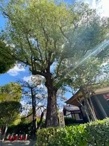 壬生寺(京都府)