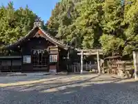 八幡社(柏井町)の本殿・本堂