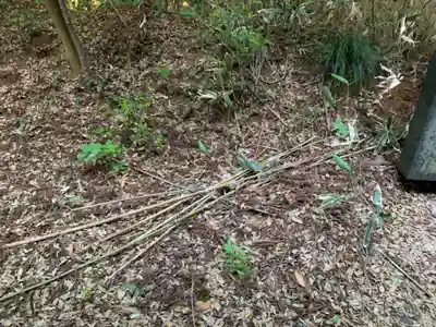諏訪神社(千葉県)