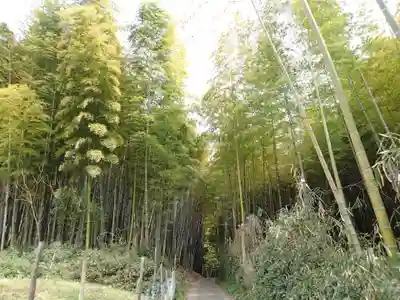 平尾姫丸稲荷大明神の自然