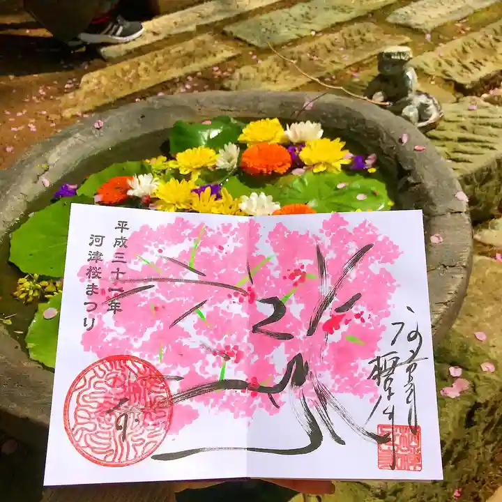 かっぱの寺 栖足寺の御朱印