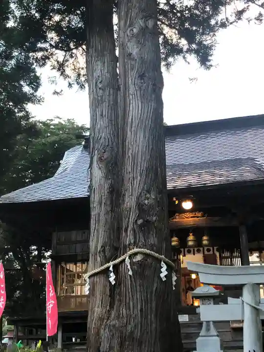 高司神社〜むすびの神の鎮まる社〜の自然