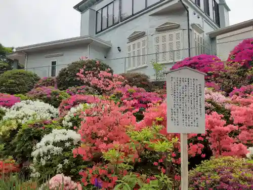 根津神社(東京都)