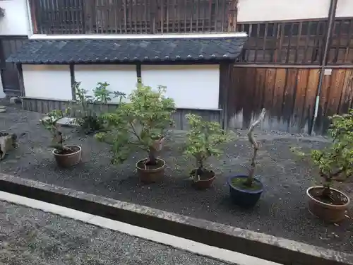 大通寺（長浜御坊）の周辺