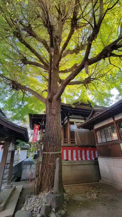 宇迦八幡宮の自然