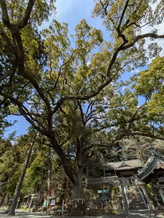 事任八幡宮(静岡県)