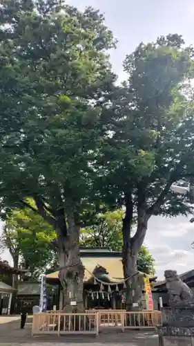熊野宮(東京都)