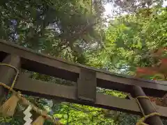 金華山黄金山神社(宮城県)