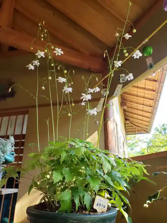 常泉寺のその他建物