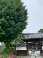 福正寺の山門・神門