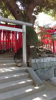 乃木神社(東京都)