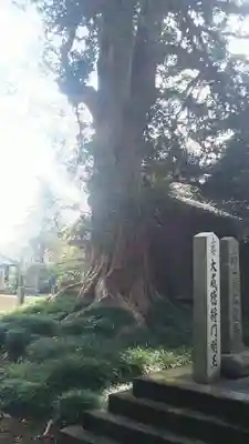 神田山延命院のその他建物