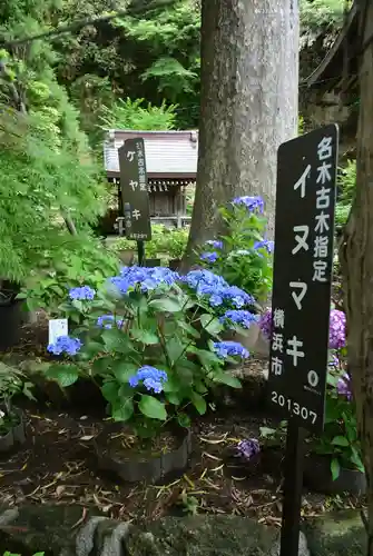 瀬戸神社(神奈川県)