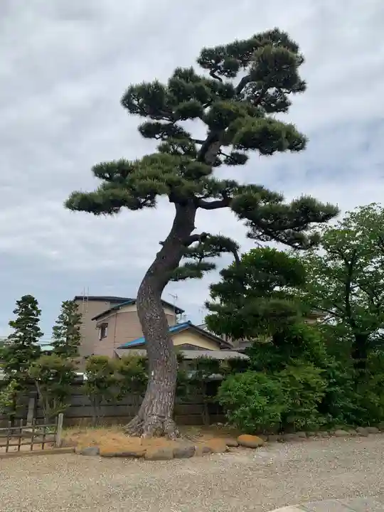 淨閑寺(千葉県)