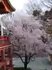 瀧泉寺(目黒不動尊)(東京都)