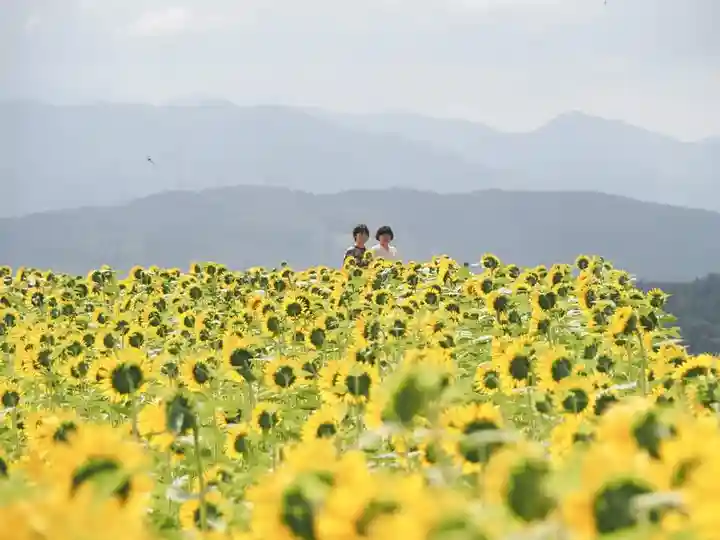 天王山 安楽寺(福井県)