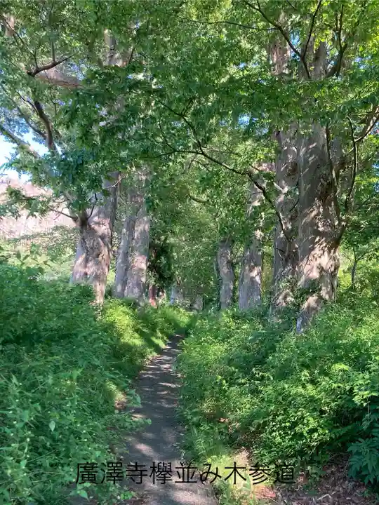 広沢寺(長野県)