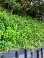 長谷寺(神奈川県)