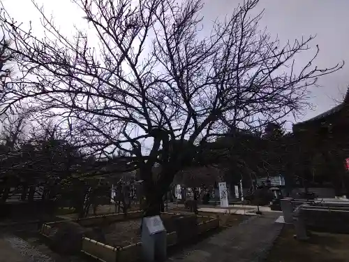 輪王寺両大師堂(寛永寺輪王殿)(東京都)