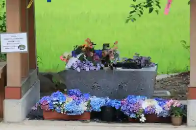 高司神社〜むすびの神の鎮まる社〜の手水舎