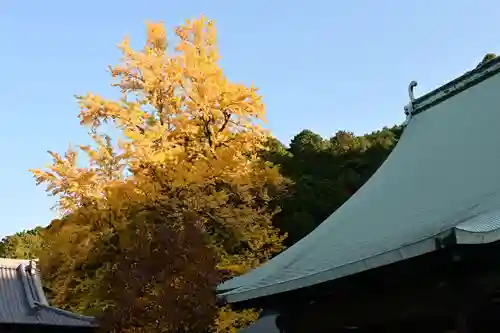 瑞応寺(愛媛県)