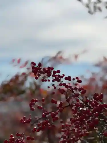差出磯大嶽山神社 仕事と健康と厄よけの神さまの自然