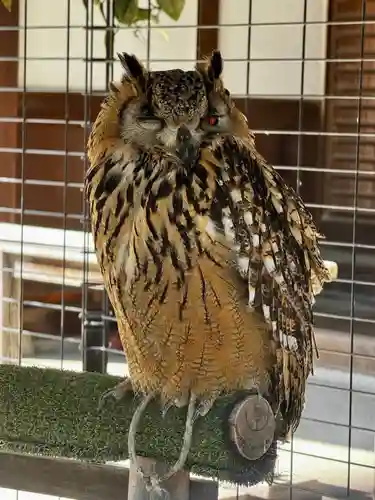 宮地嶽神社(福岡県)