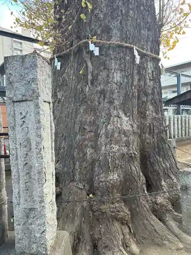 出世稲荷神社(埼玉県)