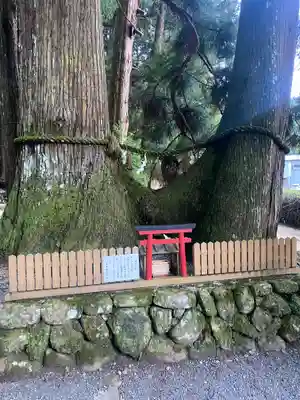 室生龍穴神社(奈良県)