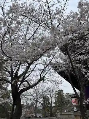 知恩院(京都府)