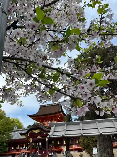石清水八幡宮(京都府)