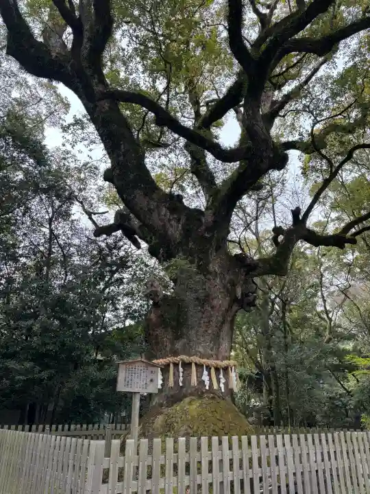 熱田神宮の{uncategorized: "未分類", other: "その他", undefined: "問題あり", building: "その他建物", grave: "お墓", sacred_gate: "鳥居", guardian: "狛犬", statue: "像", buddha: "仏像", history: "歴史", nature: "自然", garden: "庭園", animal: "動物", pagoda: "塔", temizu: "手水舎", mountain_gate: "山門・神門", sanctuary: "本殿・本堂", subordinate: "末社・摂社", art: "芸術", scenery: "景色", jizo: "地蔵", ema: "絵馬", goshuin: "御朱印", omikuji: "おみくじ", items: "授与品その他", amulet: "お守り", goshuincho: "御朱印帳", eats: "食事", festival: "お祭り", votive_dance: "神楽", shichigosan: "七五三参", wedding: "結婚式", experience: "体験その他", initially: "初詣", around: "周辺", anti_infection: "感染症対策"}