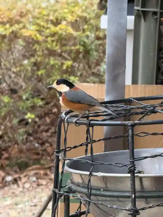 公時神社(神奈川県)
