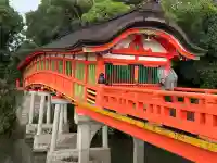 宇佐神宮の{uncategorized: "未分類", other: "その他", undefined: "問題あり", building: "その他建物", grave: "お墓", sacred_gate: "鳥居", guardian: "狛犬", statue: "像", buddha: "仏像", history: "歴史", nature: "自然", garden: "庭園", animal: "動物", pagoda: "塔", temizu: "手水舎", mountain_gate: "山門・神門", sanctuary: "本殿・本堂", subordinate: "末社・摂社", art: "芸術", scenery: "景色", jizo: "地蔵", ema: "絵馬", goshuin: "御朱印", omikuji: "おみくじ", items: "授与品その他", amulet: "お守り", goshuincho: "御朱印帳", eats: "食事", festival: "お祭り", votive_dance: "神楽", shichigosan: "七五三参", wedding: "結婚式", experience: "体験その他", initially: "初詣", around: "周辺", anti_infection: "感染症対策"}