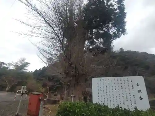 蓮華峯寺(新潟県)