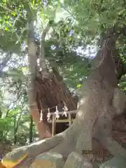 住吉神社(山口県)