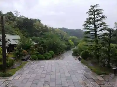 龍寳寺（龍宝寺）(神奈川県)