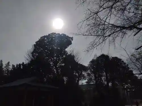 阿佐ヶ谷神明宮(東京都)