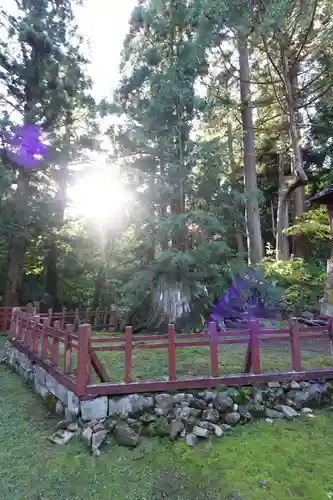 岩木山神社(青森県)
