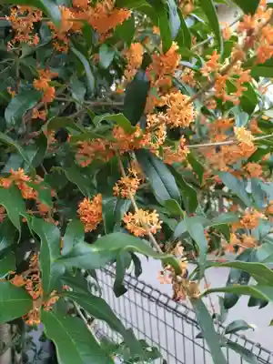 鹿島神社(福島県)