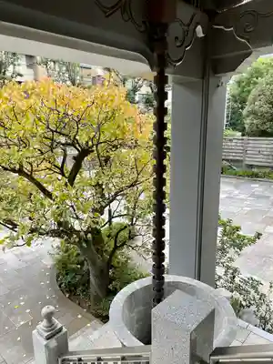 西岸寺のその他建物