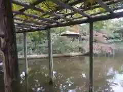 越ヶ谷久伊豆神社の庭園