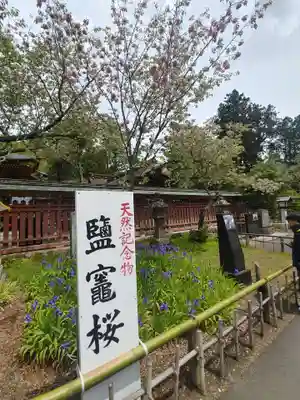 志波彦神社・鹽竈神社(宮城県)