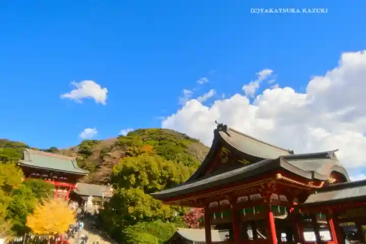 鶴岡八幡宮の景色