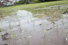 白鳥神社の体験その他