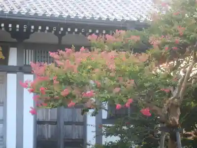 長谷寺のその他建物