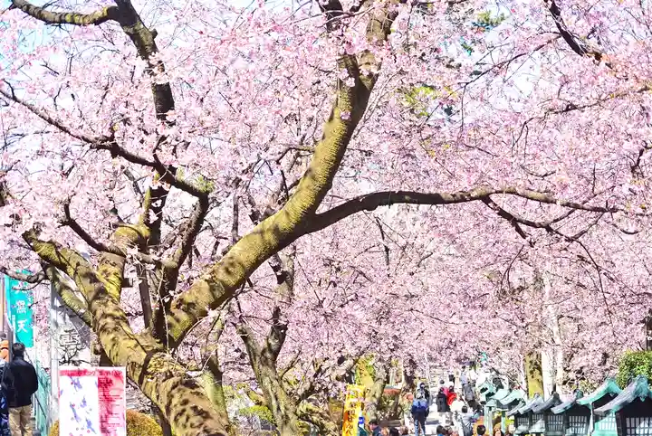 密藏院(埼玉県)
