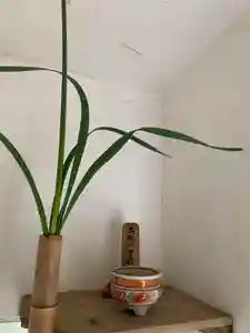 牟禮山観音禅寺のその他建物(2021年02月07日(日) 19時39分12秒投稿)