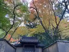 井山 宝福寺(岡山県)