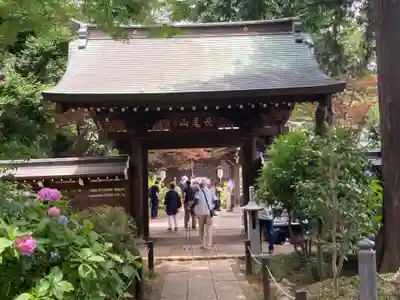 妙楽寺(神奈川県)
